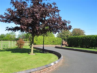 Picture 41